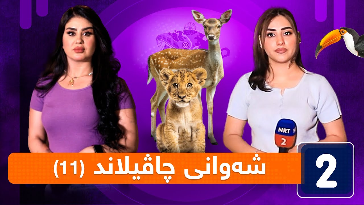 شەوانی چاڤیلاند - ئەڵقەی (11)