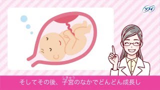 赤ちゃんってどうやってできるの 妊娠のしくみ ソフィ はじめてからだtv Vol 4 Youtube