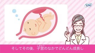 赤ちゃんってどうやってできるの？（妊娠のしくみ） 【ソフィ はじめてからだTV vol.4】