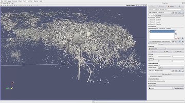 NVIDIA IndeX for ParaView: Real-Time Transfer Function Editing
