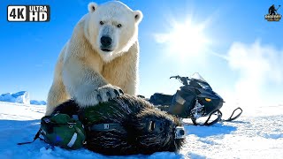 Bigfoot Vlog: Yeti Ditched Me 💔 And I’m Helpless Now 🚨