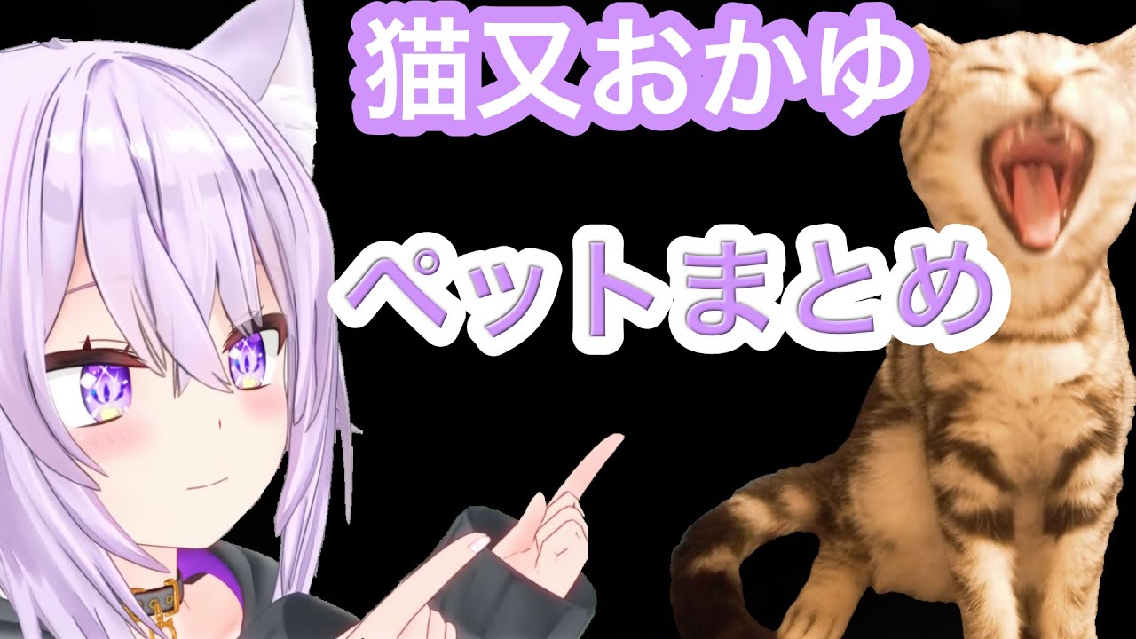【猫又おかゆ】ホロメンのペットまとめ【猫又おかゆ/ホロライブ/切り抜き】