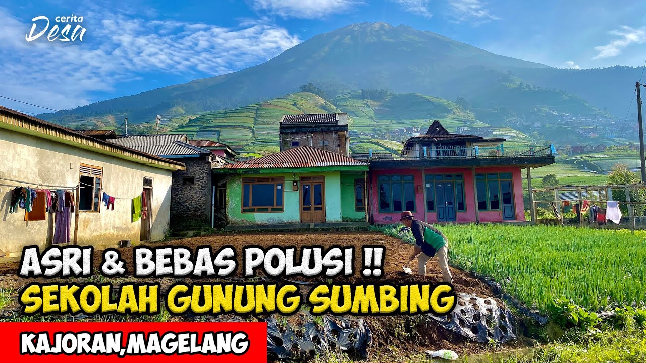 ASRI & BEBAS POLUSI ! SUASANA SEKOLAH DESA TERTINGGI DI GUNUNG SUMBING Cerita Desa Kradegan, Kajoran