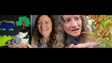 ESC Virtual Toddler Time 5/13/20 Birds & Ferns – Chickadees, Finches & Robins
