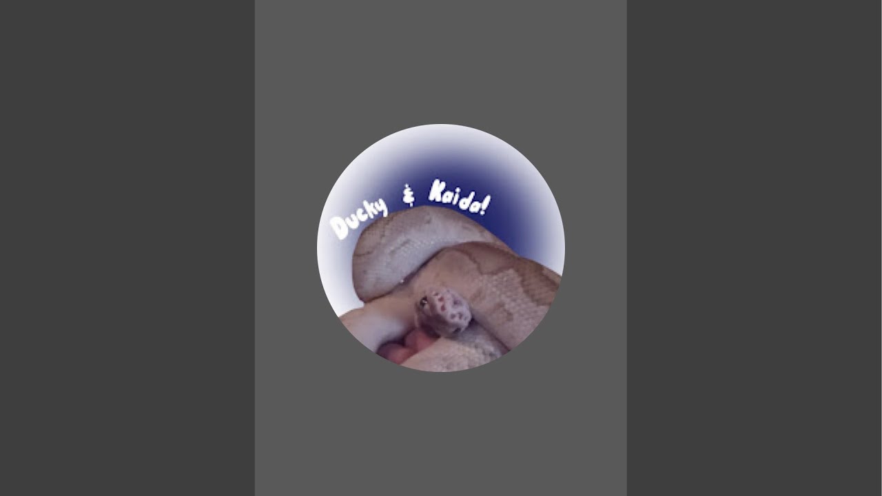 Co live with Tuttle!!