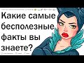 Самые бесполезные факты