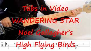 gallagher noel wandering flying bass birds