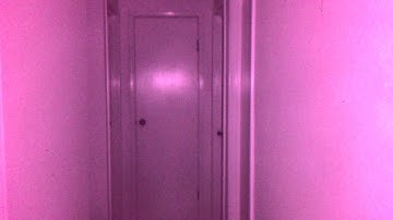 Paranologies Panoptic Pda Camera