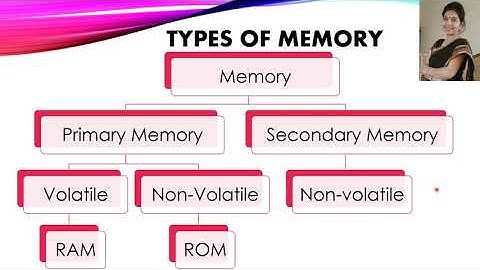 Computer Memory, Ch  2, Class 6, Chapter Summary, Computer science, IT Planet, APS CBSE
