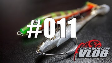 Pig Shad Jr - CWC VLOG #011