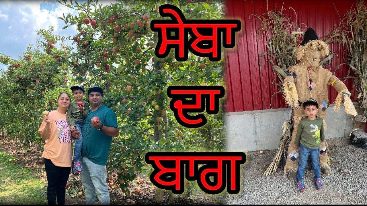 Downey’s Apple Farm Brampton APPLE 🍎 PICKING [ NituBinderWaris ] YouTube