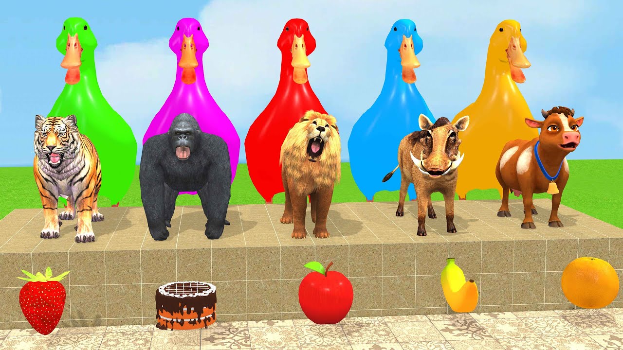 Long Slide Game With Cow Elephant Gorilla Hippopotamus Tiger 3d Animal Game Funny 3d AnimalsVideo