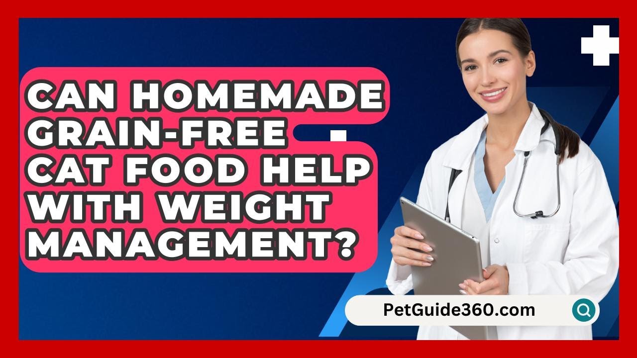 Can Homemade Grain-free Cat Food Help With Weight Management? - PetGuide360.com