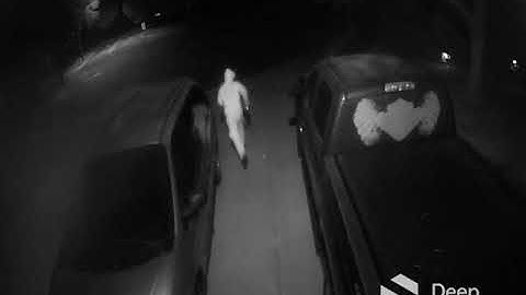 STOPPED by Deep Sentinel #36: Real Guards Protecting Homes & Businesses