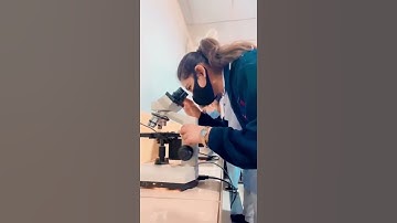 A day In a Bio Lab || Mini Vlog || Rida Fatima #shorts #video