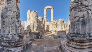 Meet The Delphic Oracle Of Apollo!