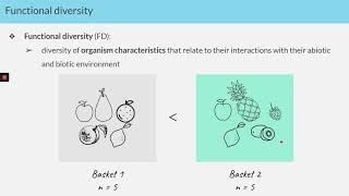 Camille Magneville (plotting functional diversity)