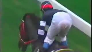 1991/92 (413) - COMPRADORE (金必多) - 馬佳善 (兩大熱門鬥足一條直路才分勝負)