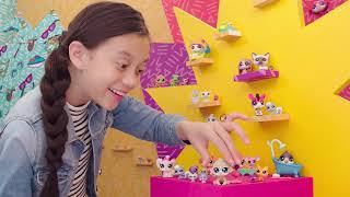 Littlest Pet Shop Collectability Hasbro