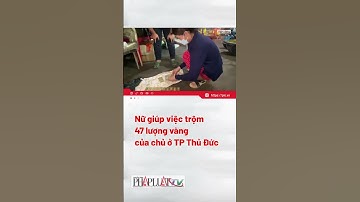 Nữ giúp việc trộm 47 lượng vàng của chủ ở thành phố Thủ Đức - PLO #shorts