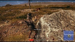thedenial died from falling