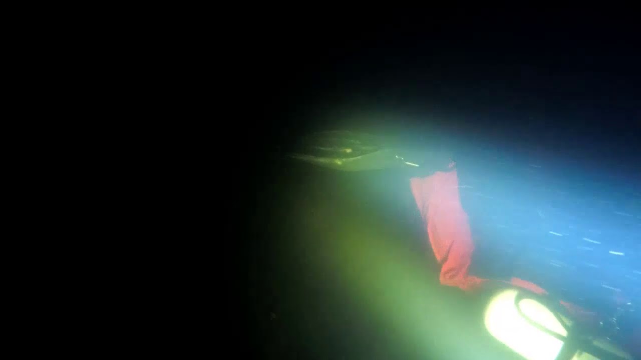 Dalešice - Hráz  31.1.2021