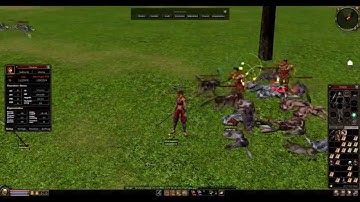 [Metin2] Meldung über Hacker/Bot User/Scripter (Metin2Support)