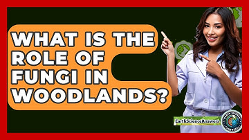 What Is The Role Of Fungi In Woodlands? - Earth Science Answers