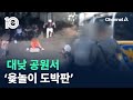 대낮 공원서 ‘윷놀이 도박판’…무더기로 검거 / 채널A / 뉴스TOP 10