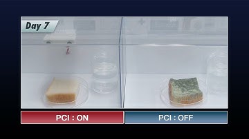 Ức chế sự phát triển của vi khuẩn bằng công nghệ Sharp Plasmaclusterion!