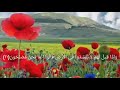 سورة البقرة من الآية 11 إلى 20 بصوت ماهر المعيقلي