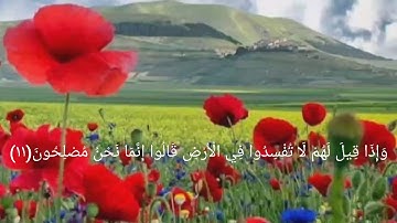 سورة البقرة من الآية 11 إلى 20 بصوت ماهر المعيقلي