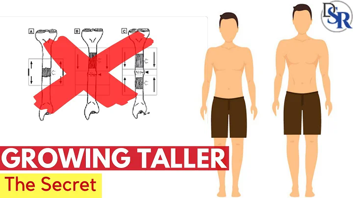 📏 The Secret To Growing Taller - by Dr Sam Robbins - DayDayNews