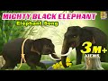 Mighty Black Elephant Elephant Song English Kids Songs mp3