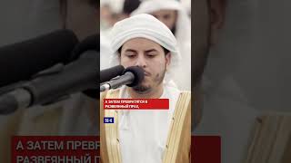 Сура 56 Аль-Вакиа _Аяты 1-11 |Чтец : Хазза Албалуши