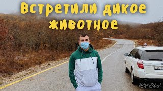 ХЫЗЫ В ПОИСКАХ СНЕГА