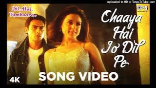 चाहे ज़ुबान से कुछ ना कहो - Chahe Zubaan Se Kuch Na Kaho (Alka Yagnik, Sonu Nigam, Dil Hai Tumhaara)