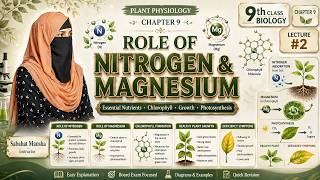 Role Of Nitrogen Magnesium In Plants 9Th Class Biology Chapter 9 Lecture 2 New Syllabus