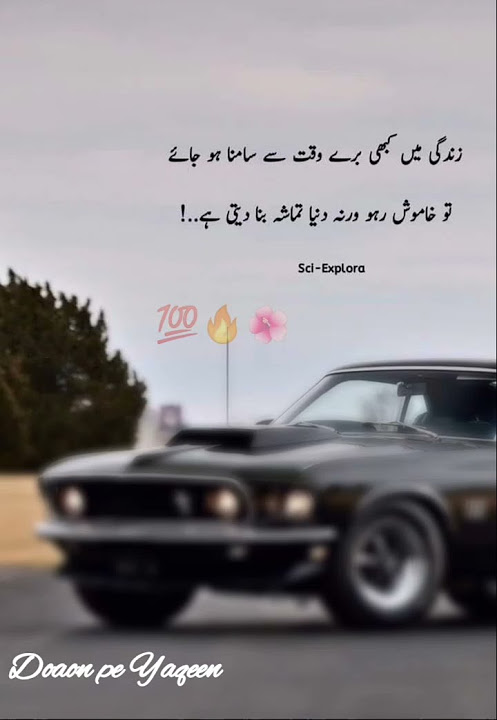 true-lines-whatsapp-status-best-inspection-urdu-quotes-poetry