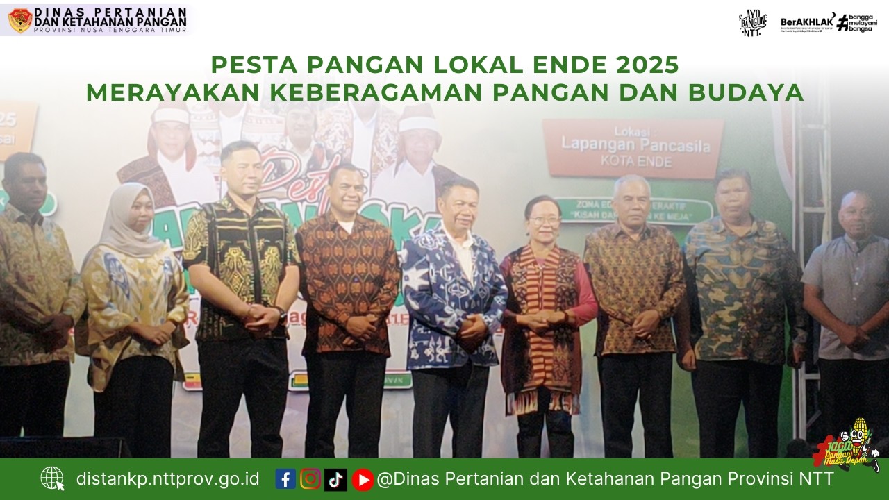 Pesta Pangan Lokal Ende 2025 - Merayakan Keberagaman Pangan dan Budaya