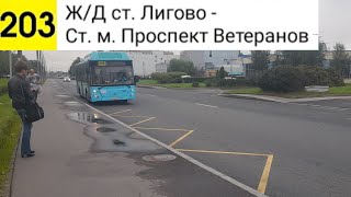 картинка: Автобус 203. Ж/Д ст. Лигово - Ст. м. Проспект Ветеранов