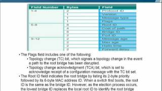 CS407_Topic160