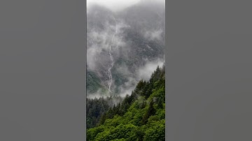 سورة العصر | مقام الرست