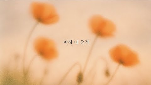 아직 네 흔적 Your Traces Remain
