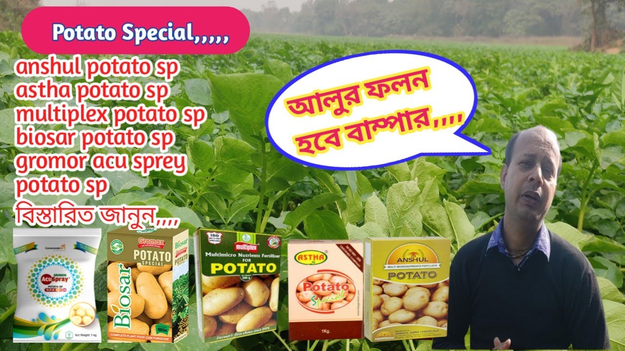 Potato Special  দিয়ে আলু হবে সবার সেরা || 