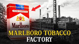 The Marlboro factory: Why Philip Morris produced billions in one place