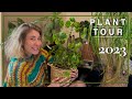 Plant tour 2023 i ma collection de plantes en tiny house  post dmnagement