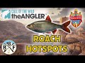 Hotspot Guide: Roach (Spain) - Plus Hook Size, Bait and Lure!! | Call of the Wild: theAngler