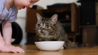 BUB, Sardines, and a BABY