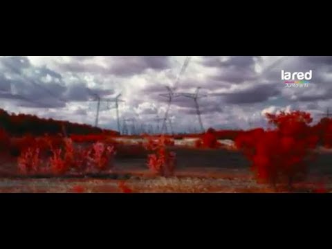 Vídeo: El Misterioso Bosque Rojo De Chernobyl Es Uno De Los Objetos Más Radiactivos De La Tierra - Vista Alternativa